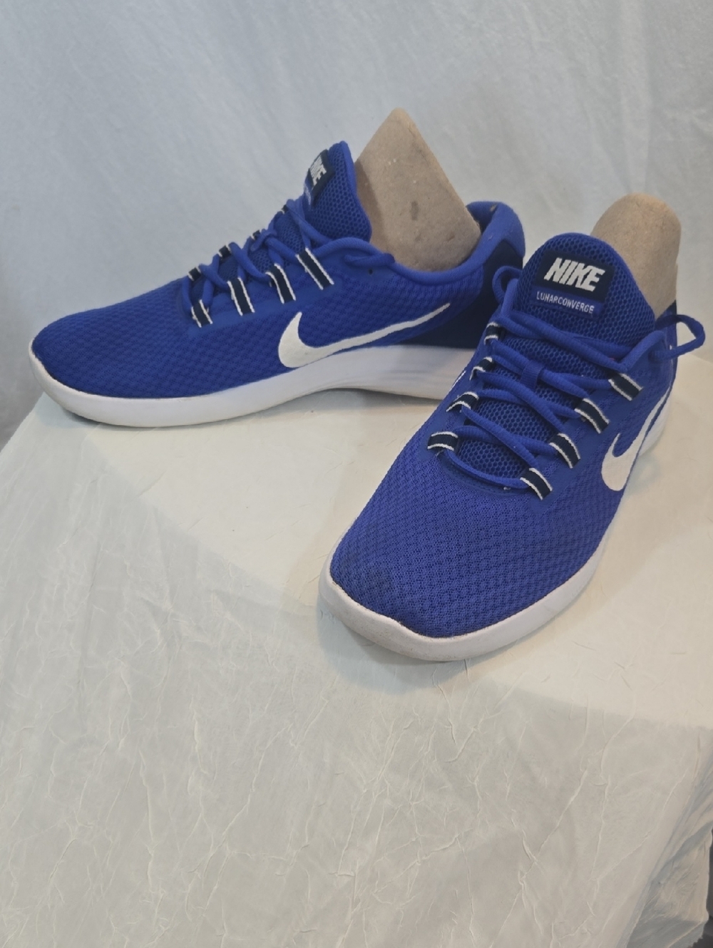 Nike Royal Blue Mesh Sneakers with White Swoosh